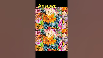 Find 7 differences? #mind your logic Riddles No.178