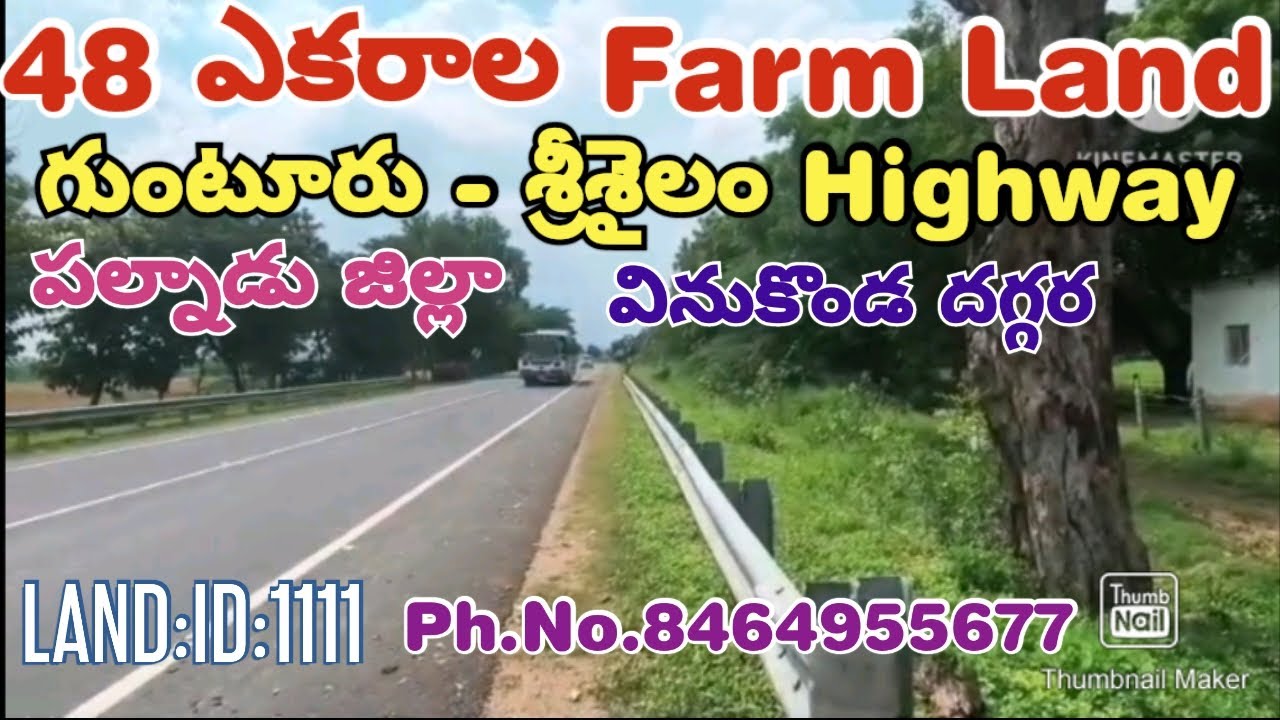48 ACRES OF FARM LAND FOR SALE. PALNADU DT. VINUKONDA. (AP). PH. NO. 8464955677. LAND:ID:1111
