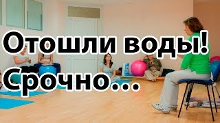 Отошли воды? Что делать? Когда ехать в роддом? | 