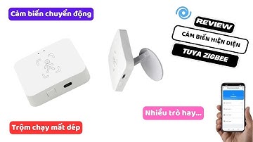 [MỚI] Cảm biến hiện diện Tuya Zigbee "XỊN" hơn Wifi- NHÀ THÔNG MINH