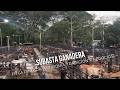 Subasta Ganadera en La Pintada, Antioquia: Tradición y Negocios - TvAgro por Juan Gonzalo Angel