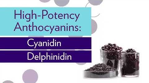 Chia sẻ khoa học của Tiến Sĩ Mark Bartlett về ageLOC Reset