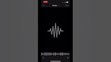 Pi’erre Bourne - Flexing Snippet