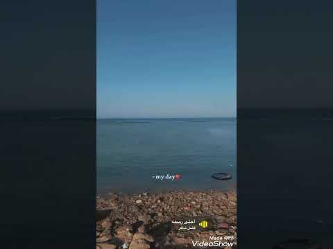 نور عمار كشف حساب
