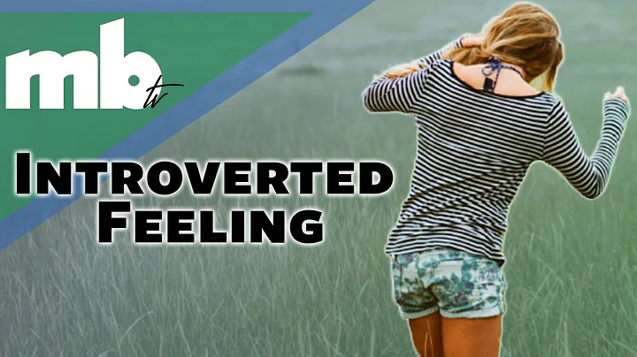 MBTI Cognitive Function Series - Introverted Feeling (Fi) (Long)