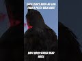 DayZ bears made give them a piggy back ride!