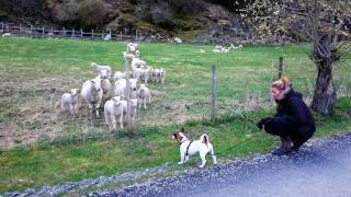 Download Lagu Norway\u0026Sweden adventure 2017 HD MP3