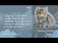 M4A | Rescuing a Stray Neko | Neko Listener Audio