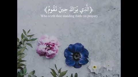 القارئ الشيخ رعد الكردي حالات واتس اب قرآن كريم ❤❤ part1 24