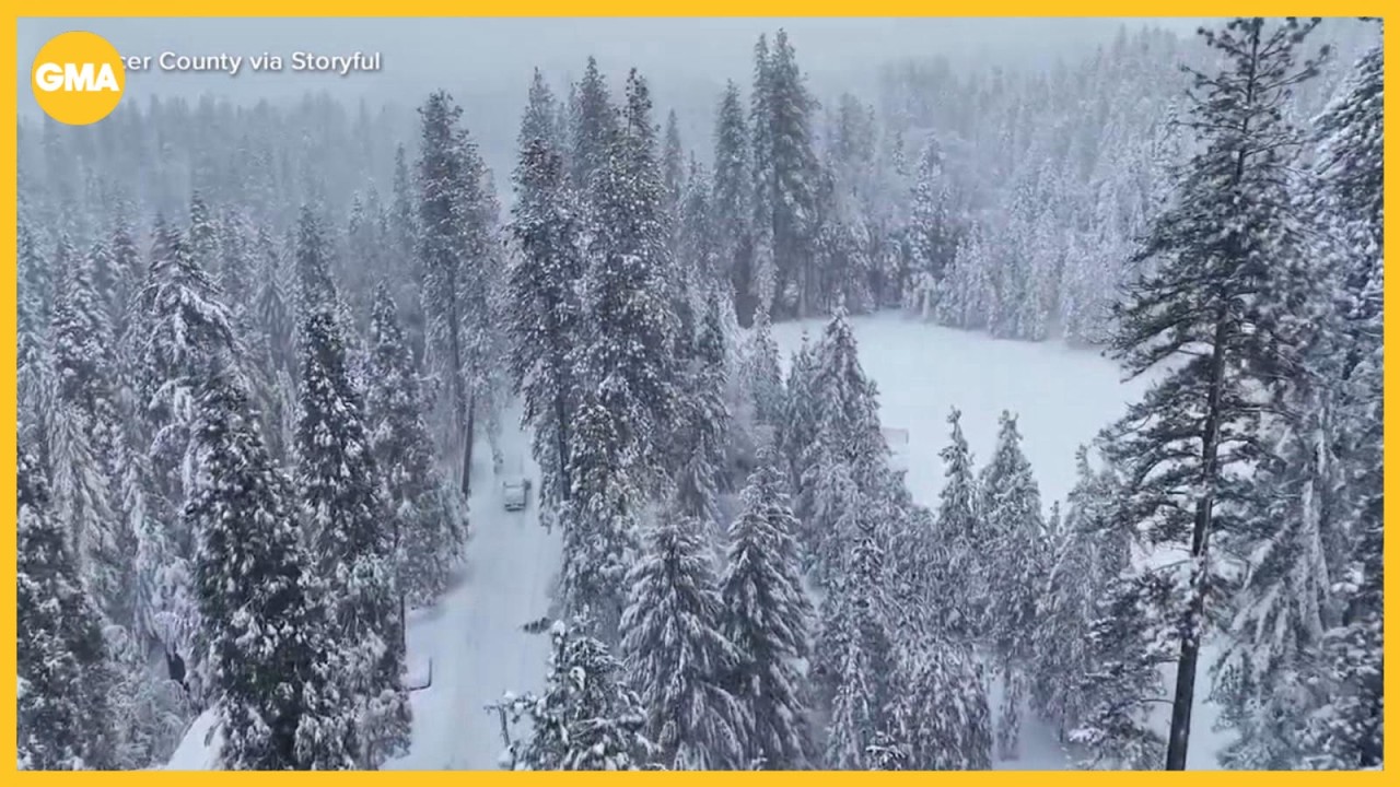 Mounting questions over decision to go on mountain prior to deadly avalanche