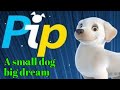 Pip  a short animated film  fun superfast