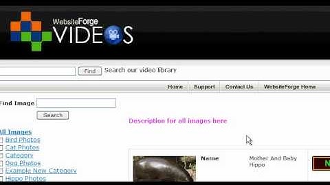 What Is An Advanced Gallery Module - Websiteforge Ecommerce Website