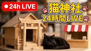 いかりやま温泉 猫神社前 のライブ映像