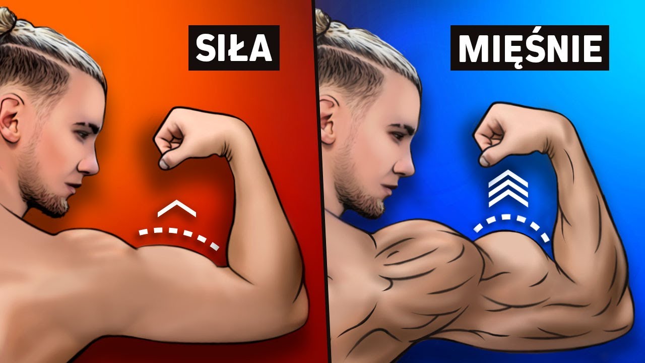 Więcej SIŁY = Więcej MIĘŚNI? To Inaczej Niż Myślisz (5 Powodów)