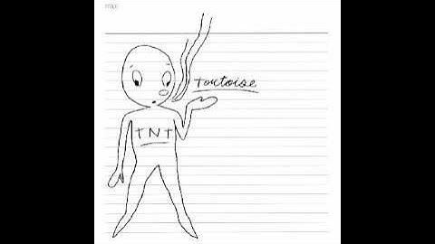 Tortoise - Swung From The Gutters