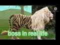 Wildcraft  boss in real life