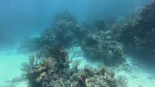Jeep Reef Bahamas April 2021