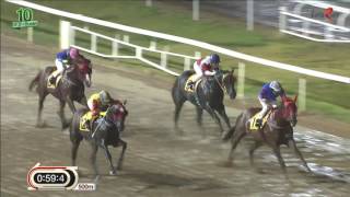 20160902 렛츠런파크 부산경남 10경주 1400m