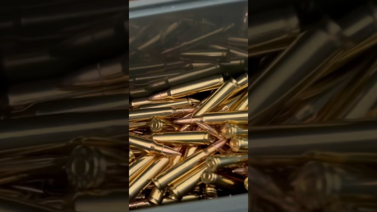 Which Way Do You Store Ammo gunshort 2ndamendment gunlifestyle gun