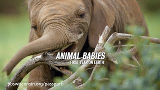 PBS Wisconsin Passport | September 2025