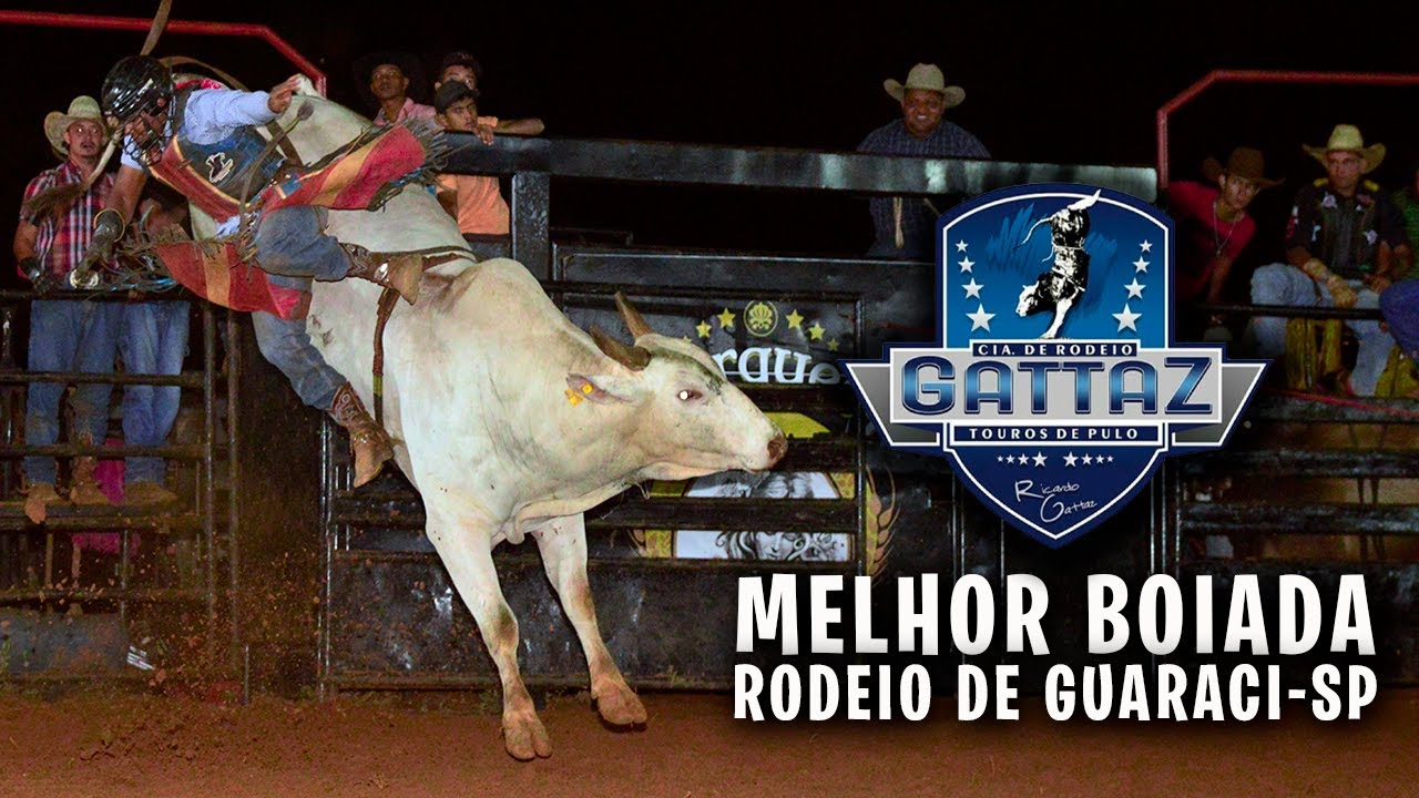 MELHOR TOURO E MELHOR BOIADA DE GUARACI-SP 2021 / CIA. DE RODEIO GATTAZ ...