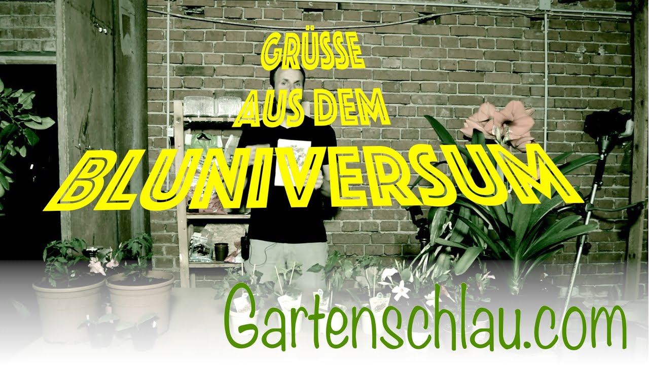 Melone, Salbei und Zitrone: Was im Exotengarten jetzt wächst