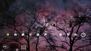 Meteor Shower Night Dynamic Theme