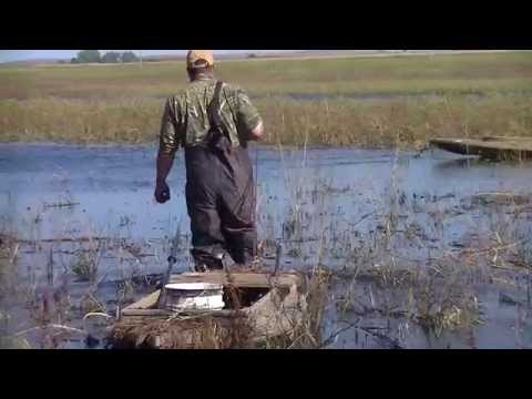 Duck Hunting: FDH Season #1 Episode #2 Teal Opener Day 2