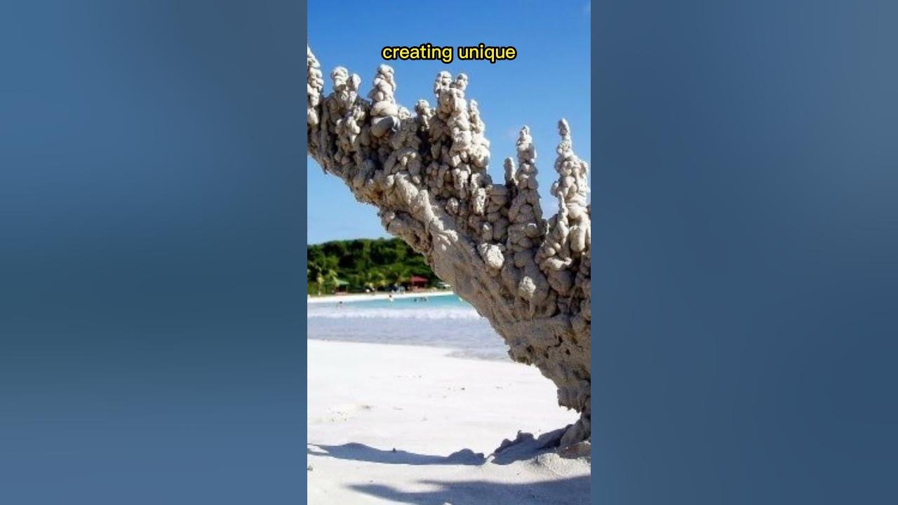 Nature's Secrets | Petrified Lightning (Fulgurites) Phenomenon 😱 #shorts #nature
