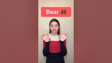 Wild Animals in American Sign Language - Part 1 #shorts