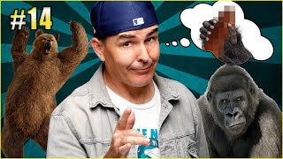 Would You Rather Fight A Grizzly Bear Or Silverback Gorilla? | Advice From Uncle Noly