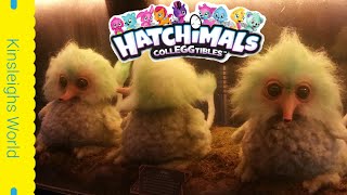 Rare Hatchimals Colleggtibles Found And Captured!!!! Rarest Hatchimals Ever Found