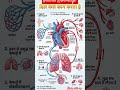 Most important topic with pictures 🫀!!#shorts #heart #amazing #biology #gkinhindi #htet