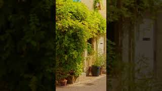 Van Gogh & Arles, France