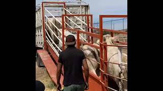 Rancho Cerro Blanco Centro Ganadero La Tijera