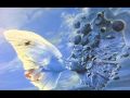 The Corrs All I Have To Do Is Dream Wmv 