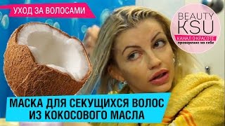 Как предотвратить сечение волос. Маска от секущихся кончиков (кокосовое масло, сметана)от Beauty Ksu(Подписаться на канал: https://goo.gl/EYpsxS Мой Instagram #beautyksu : https://goo.gl/zi8ZoL Маски для волос с кокосовым маслом подходят..., 2015-03-15T08:00:17.000Z)