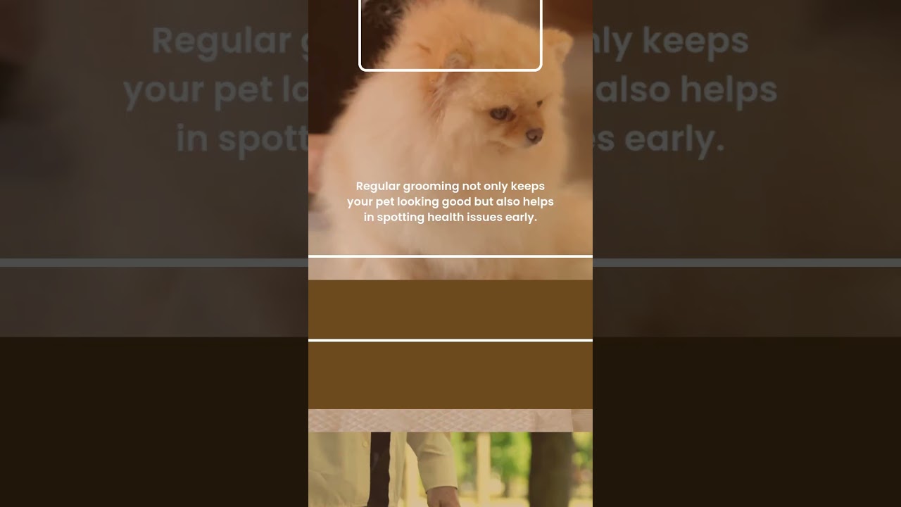 Pet care tips & tricks Pet care tips & tricks