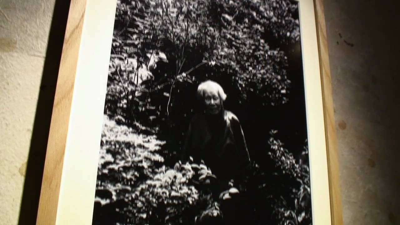 Plants Walk 牧野富太郎 Youtube Plants Walk 牧野富太郎 Youtube