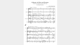 J.S. Bach - Matthäus-Passion Chorale (BWV 244) arranged for String Orchestra