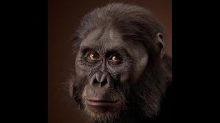 Celebrity THE MISSING LINK? EVOLUTION V CREATIONISM - THE SCIENCE OF EVOLUTION Profile