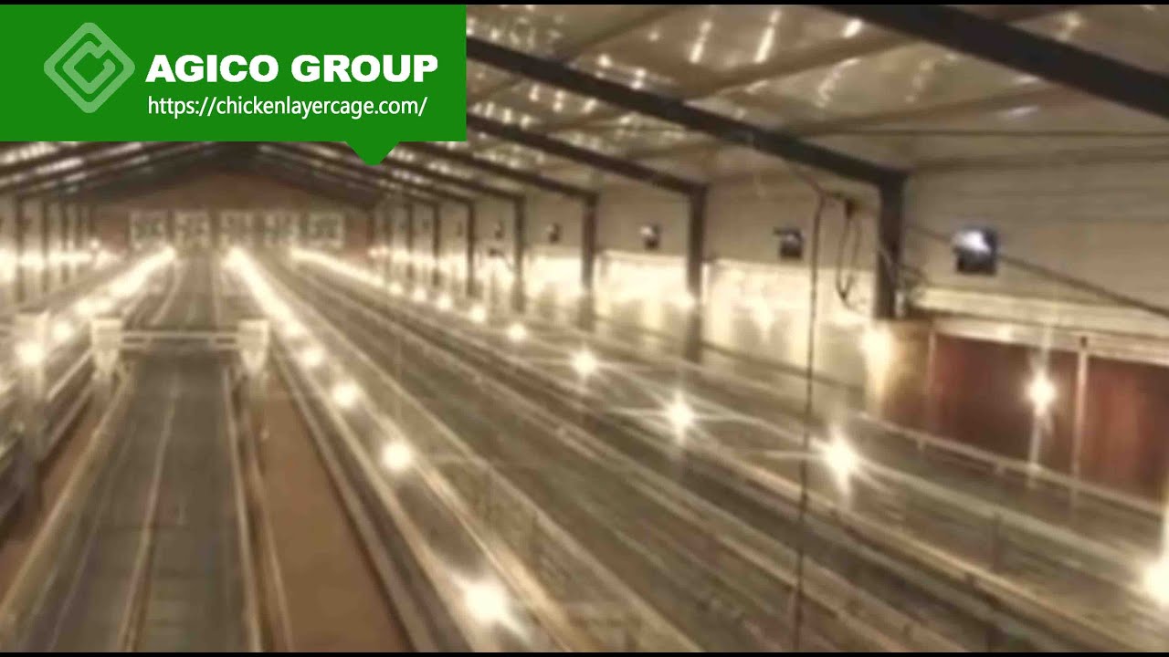 H-Type Stacked Layer Cage: Features, Structure, and Benefits for Large-Scale Poultry Farming