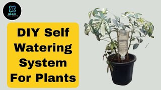 DIY Self Watering Drip System For Plants | Creative Explained |