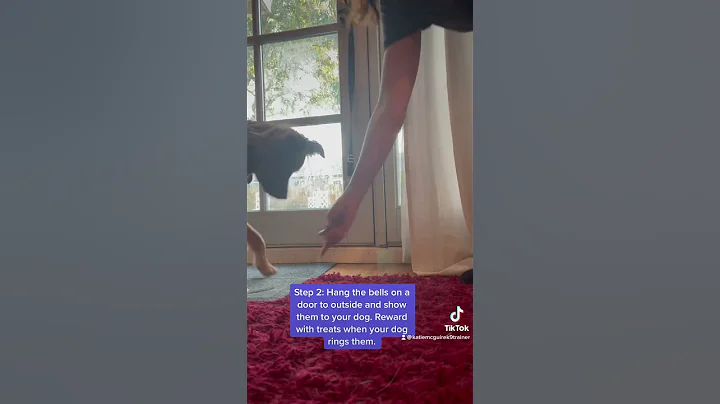 How to Teach Your Dog to Use Potty Bells: Short Ve...