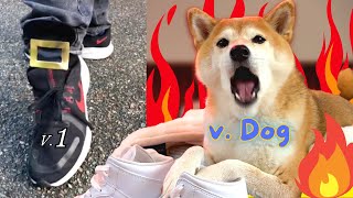 Dog Sings One Two Buckle My Shoe