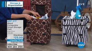 dbest Collapsible Smart Storage Cart