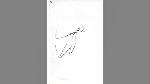 Quick Wing Lightbox animation