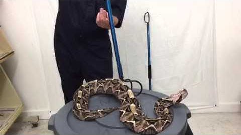 Double Hook New from Midwest Tongs.com