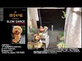 【Sat.04/25/2026 Livecamera at the florist】 スローダンス SLOWDANCE 等々力 尾山台 世田谷 Setagaya 東京 Tokyo 日本 Japan