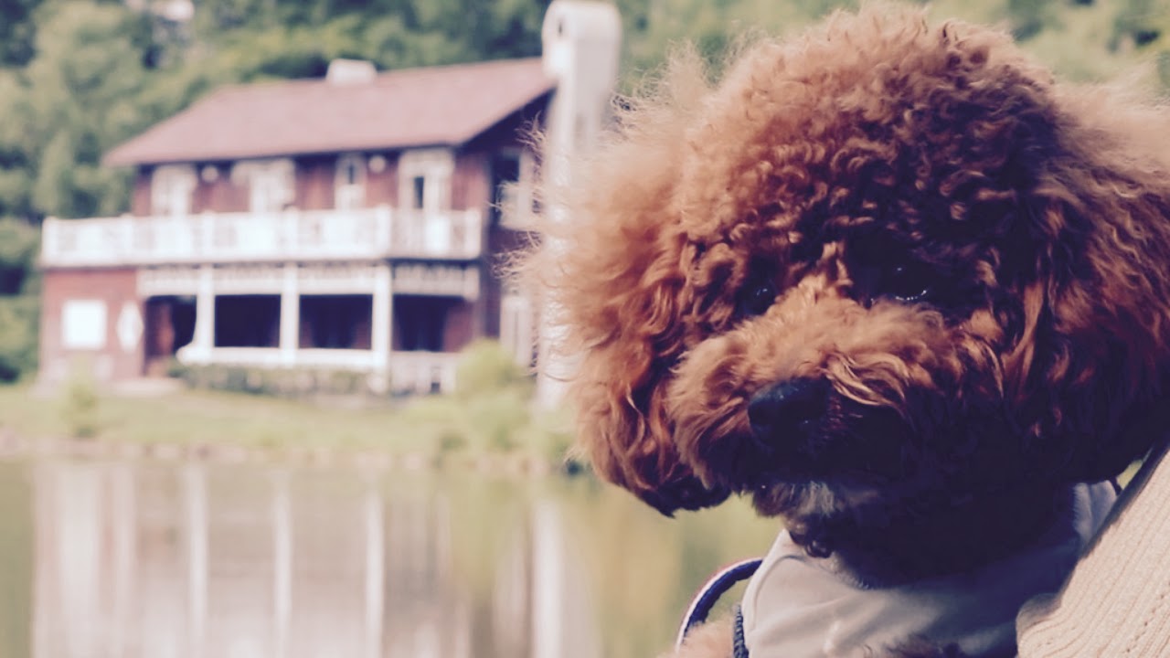 【Sat.04/25/2026 Livecamera at the florist】 スローダンス SLOWDANCE 等々力 尾山台 世田谷 Setagaya 東京 Tokyo 日本 Japan